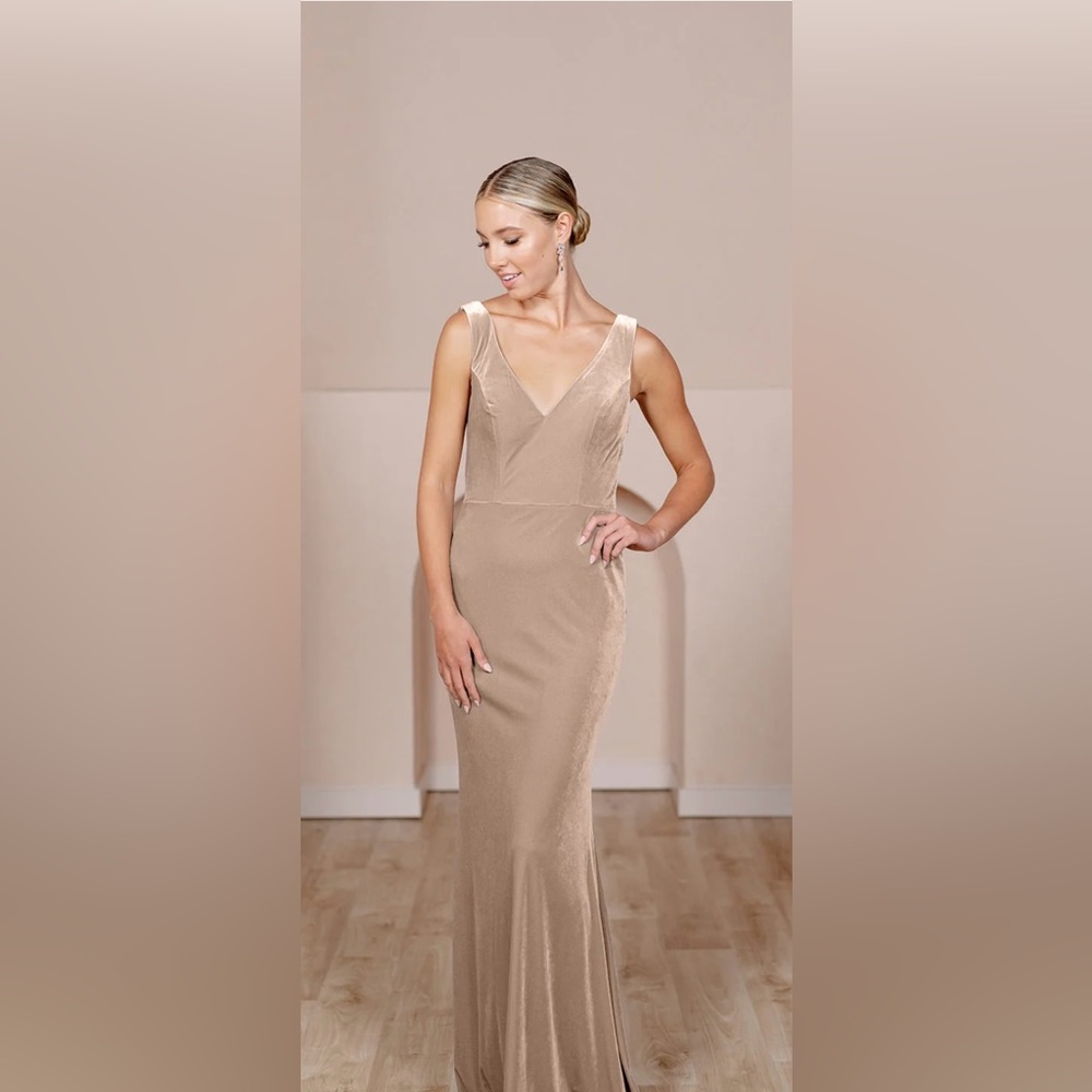 Revelry- Dakota Velvet Dress
Color: Champagne
Size: 2 Petite